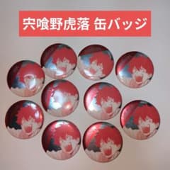 ファントムバスターズ ファボテリア 缶バッジ 宍喰野虎落 10点 - メルカリ