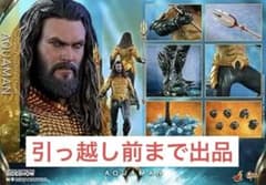 ホットトイズ アクアマン AQUAMAN ※引っ越し前まで出品※ - メルカリ
