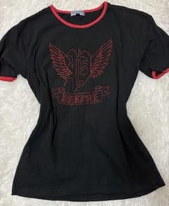 Y2K グランジ 英字 長袖 ピチT羽刺繍 お兄系平成ギャル ダークコア