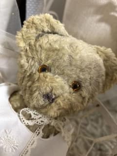 Teddy bear, European antique vintage brocante flea market