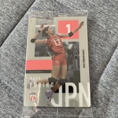 和田由紀子 バレーボール 日本代表 カードのサムネイル
