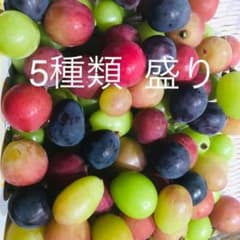山梨県勝沼産　ぶどう粒　盛り合わせ　1kg 粒のサムネイル