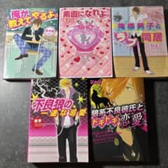 恋愛小説 5冊セットのサムネイル