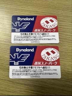 高鷲ダイナ　共通リフト券のサムネイル