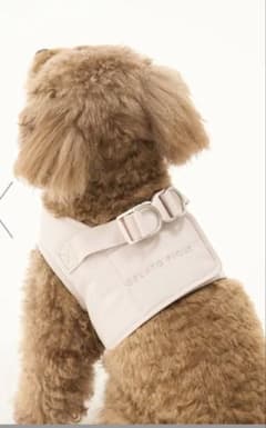 GELATO PIQUE 犬用ハーネス ピンク　サイズSのサムネイル