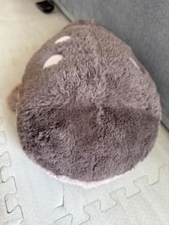 ポケモン ドオー　ぬいぐるみのサムネイル