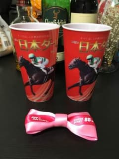 日本ダービー記念カップのサムネイル