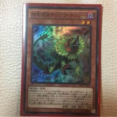 遊戯王 捕食植物サンデウ・キンジーのサムネイル
