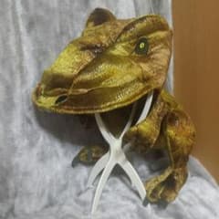 ティラノサウルスの帽子のサムネイル