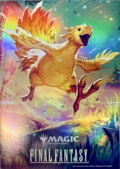 m24087150282_1.jpg?1749694146