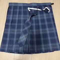 制服スカート、ネクタイのサムネイル