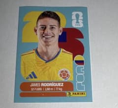 panini ハメス・ロドリゲス　ジャージカード PANINI ハメス・ロドリゲス FIFA WORLD CUP 2026 - メルカリ
