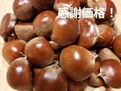 ①感謝価格！　生栗　美玖里　中粒　1390gのサムネイル