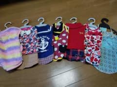 ダックスフンド　服セット　SD/MDサイズのサムネイル