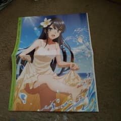 청춘 돼지 놈은 토끼 소녀 선배의 꿈을 꾸지 않는다 포스터 #⑥ 물놀이