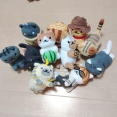 고양이 세트