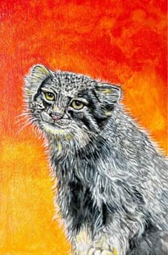 マヌルネコの手書きイラストのサムネイル