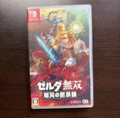 ゼルダ無双 厄災の黙示録 Nintendo Switch