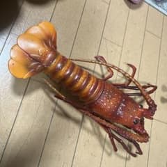 伊勢海老　フィギュアのサムネイル