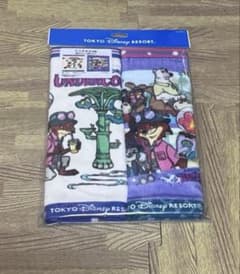 주트 피어 미니 타월 2장 세트
