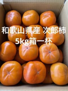 和歌山県産 次郎柿 5kg箱一杯のサムネイル