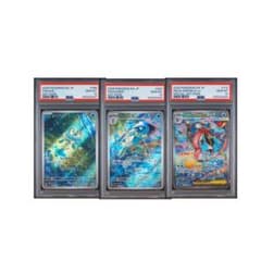 PSA10 3連番のケロマツ、ゲコガシラ、メガゲッコウガのサムネイル