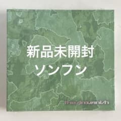 The sin vanish 新品未開封　ソンフンのサムネイル