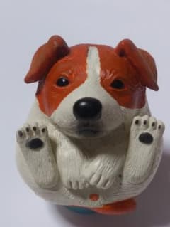 まんまるどうぶつ　まんまるいぬ　ジャックラッセルテリアのサムネイル