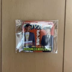 DAIBAKUSHOW 2025 からし蓮根　缶バッチのサムネイル
