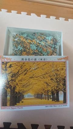 【中古】ジグソーパズル 1000ピース〈黄金色の道・東京〉のサムネイル