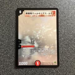 m24166125722_1.jpg?1765597738
