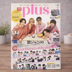 TVガイドPLUS vol.41 (発売日2021年01月04日)