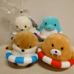 m24179524784_1.jpg?1752916584