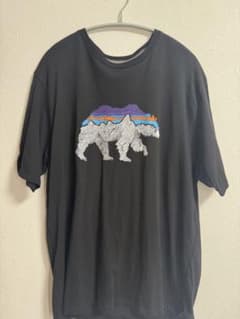 Patagonia Tシャツ ブラック Mサイズのサムネイル
