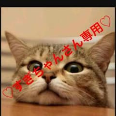 すぎちゃん様専用♡へ〜せいポリスメン11〜13巻のサムネイル