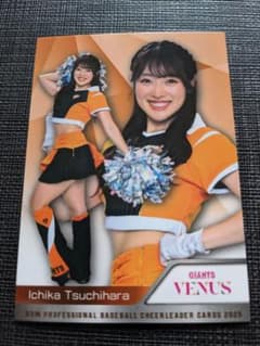 BBM プロ野球チアリーダーカード 2025 巨人 VENUS 土原一花