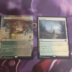 MTG　草茂る農地2枚セットのサムネイル
