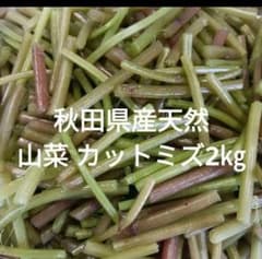 秋田県産天然 山菜 カットミズ2㎏ - メルカリ