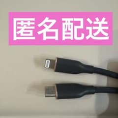 Anker USB-C & ライトニング　0.9m