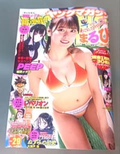 ヤングマガジン   No ２９のサムネイル