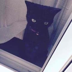 なつみさん専用のサムネイル