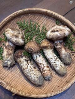 南信州産 天然松茸 185ｇ 国産天然きのこ 松茸 186.8g 南信州産 - メルカリ