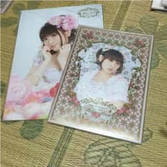 田村ゆかり ライブパンフレットのサムネイル