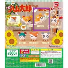 ★とっとこハム太郎 ちゅりー！ トラハムくんのサムネイル