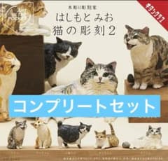 m24239922379_1.jpg?1726635351