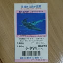 沖縄美ら海水族館 チケット 小人のサムネイル