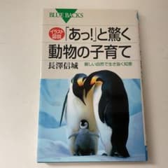 『「あっ！」と驚く動物の子育て』 長澤信城 著 ／ 講談社ブルーバックスシリーズのサムネイル