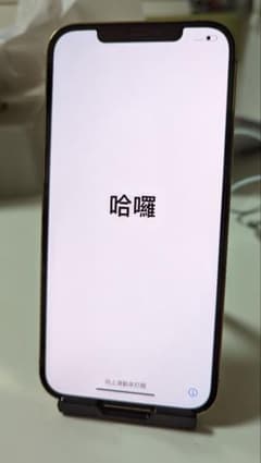 【新品同等品】iPhone 12 Pro MAX 256GBのサムネイル