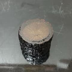 切株香合 茶道具懐石茶箱鵬雲斎坐忘斎淡々斎即中斎茶碗棗水指茶杓而妙