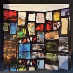 竹村延和『knot of meanings』 クリア盤2LPレコードのサムネイル